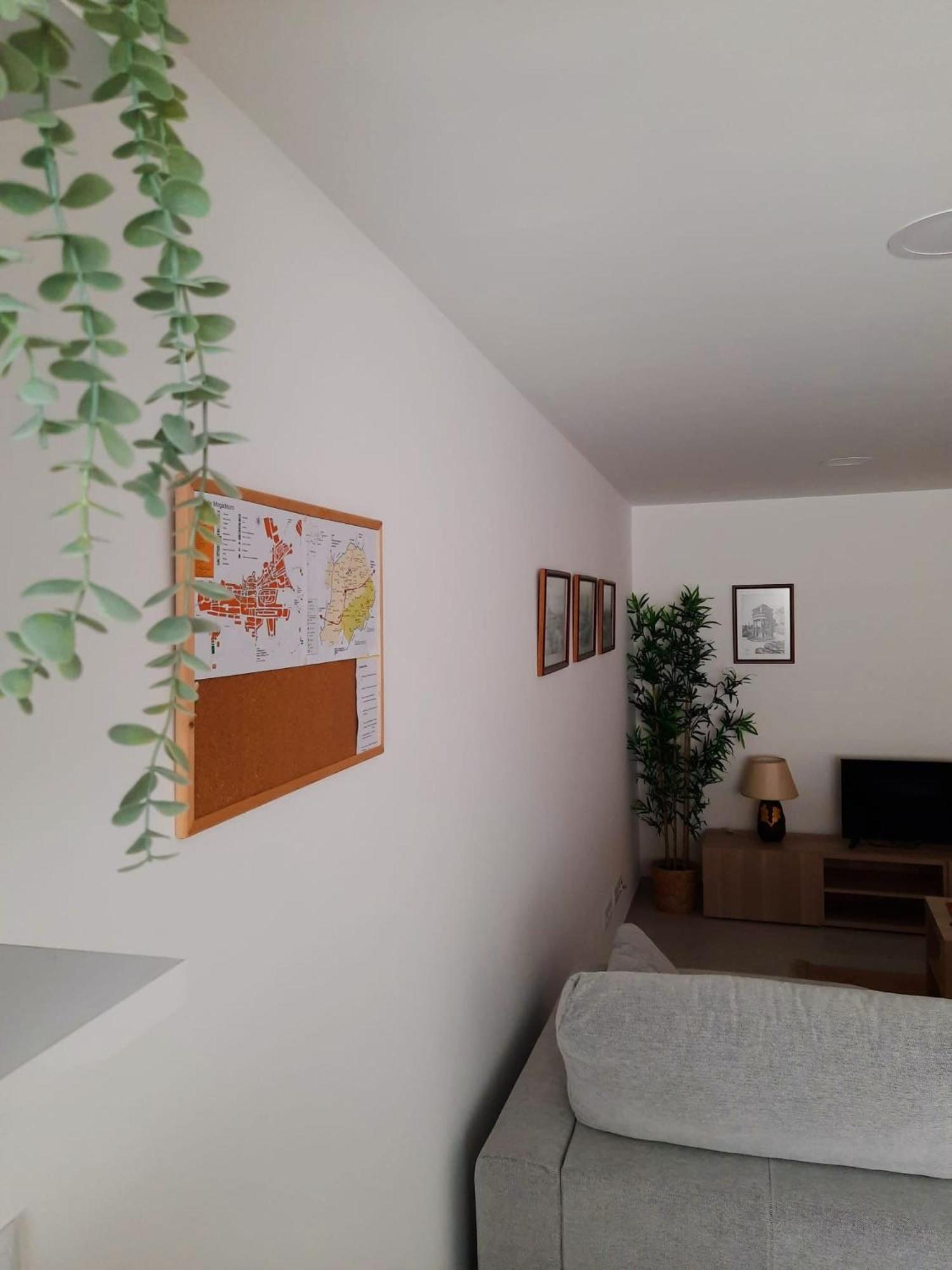A Toca Dos Coelhos Apartment Mogadouro  Bagian luar foto